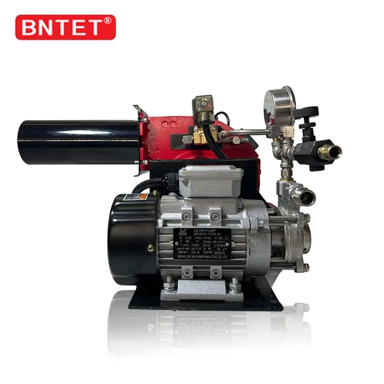 200000 Kcal Natural Gas Burner Methanol Low Nitrogen Burner for Drying 