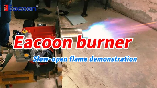 Eacoon Gas Burner for Industrial Boiler, Low Energy Consumption for Boiler 