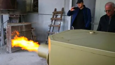 Oil Gas Boiler Used Biomass Pellet Chips Burner 