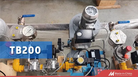 Industrial Combustion System Gas Burner for Stenter Frames Dryer 